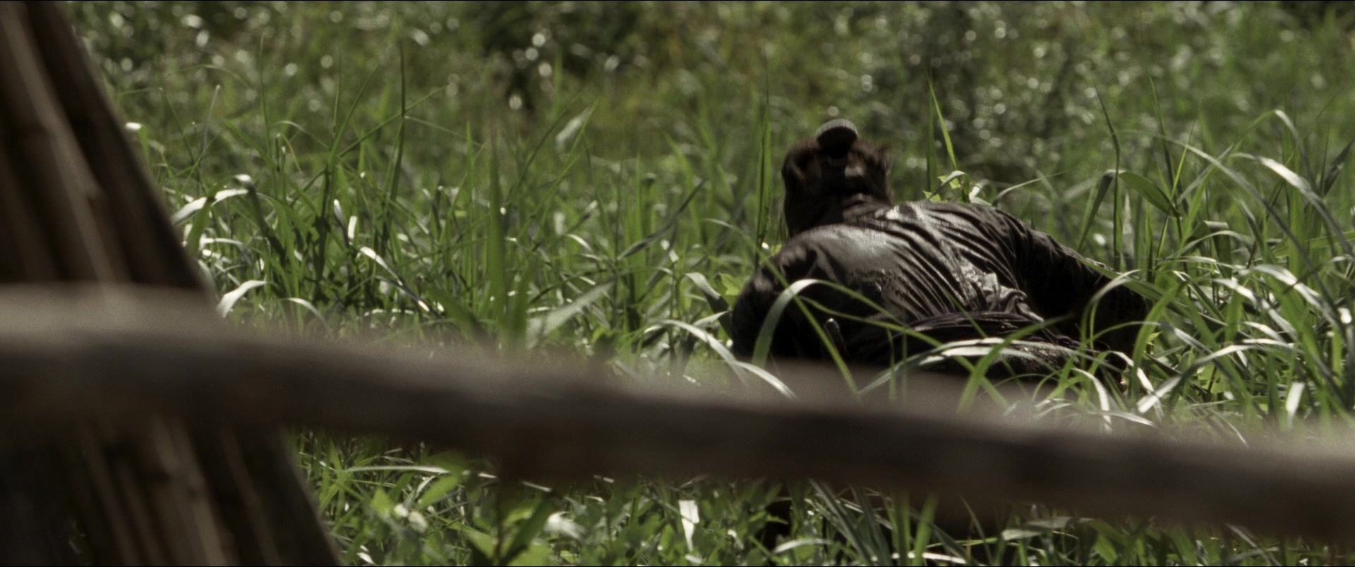Jusan-nin no shikaku (2010), wide, 2.39:1 — film still