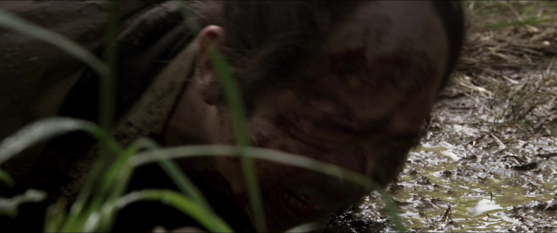 Jusan-nin no shikaku (2010), wide, 2.39:1 — film still