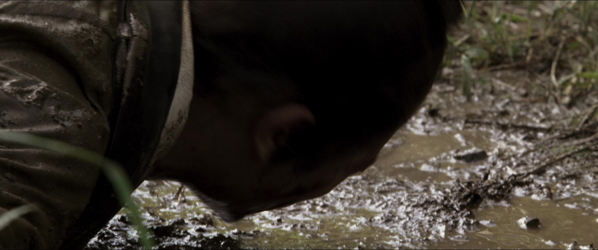 Jusan-nin no shikaku (2010), wide, 2.39:1 — film still