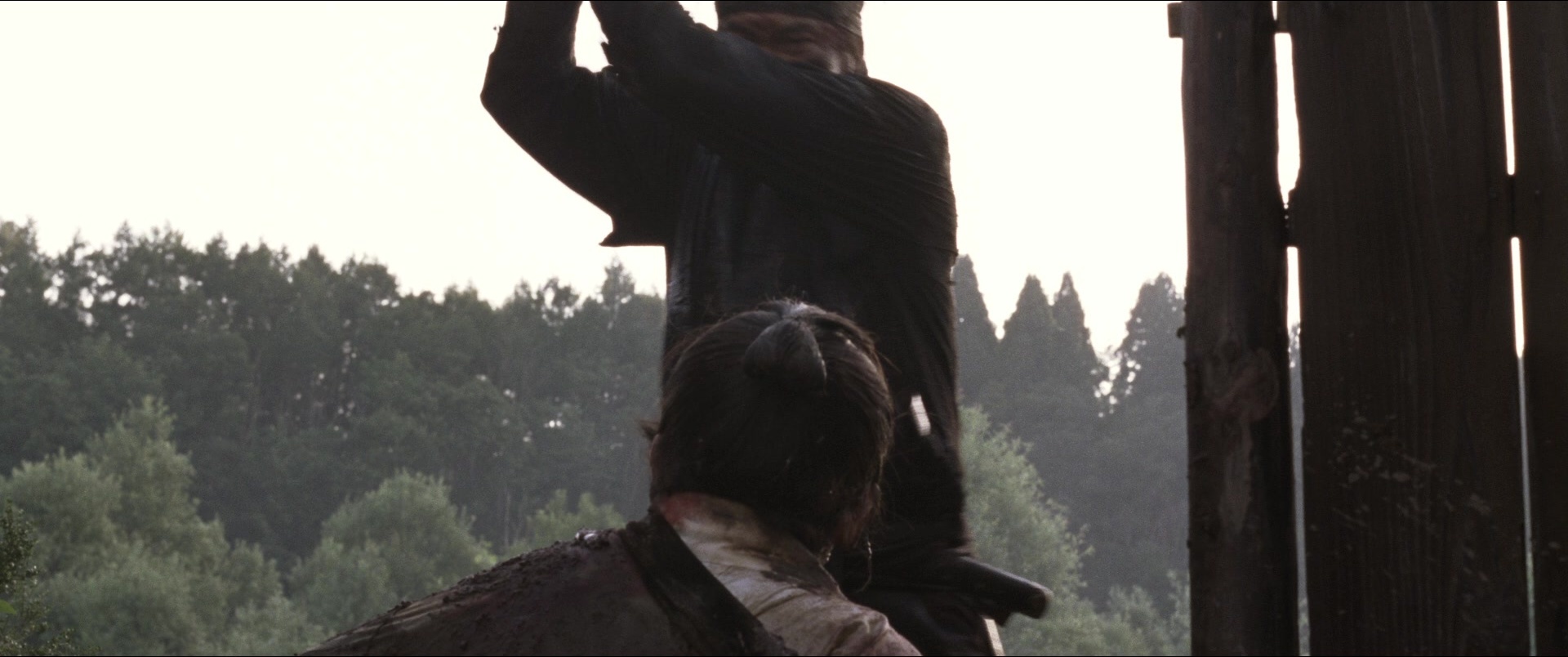 Jusan-nin no shikaku (2010), unknown, 2.39:1 — film still