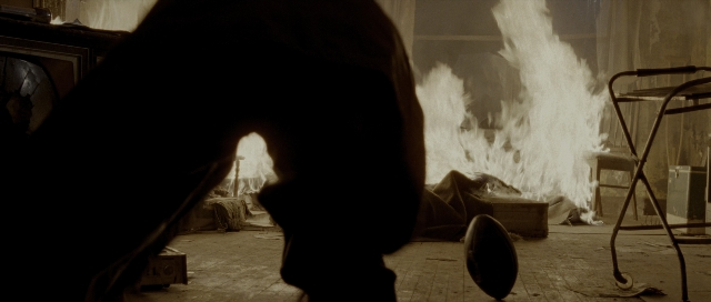 seria-65065.jpg