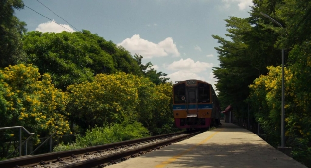 seria-5329800.jpg