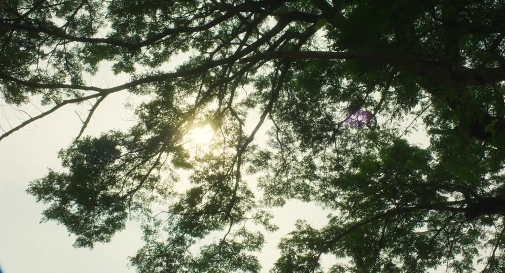 Lahn Mah (2024), unknown, 1.85:1 — film still