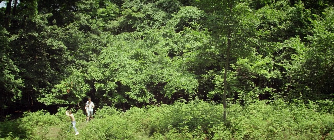 The Kings of Summer (2013), unknown, 2.39:1 — film still