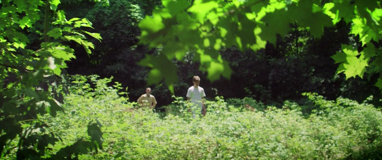 The Kings of Summer (2013), wide, 2.39:1 — film still