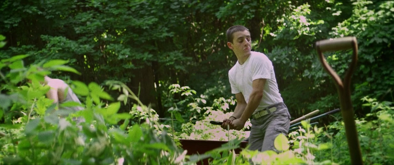 The Kings of Summer (2013), unknown, 2.39:1 — film still