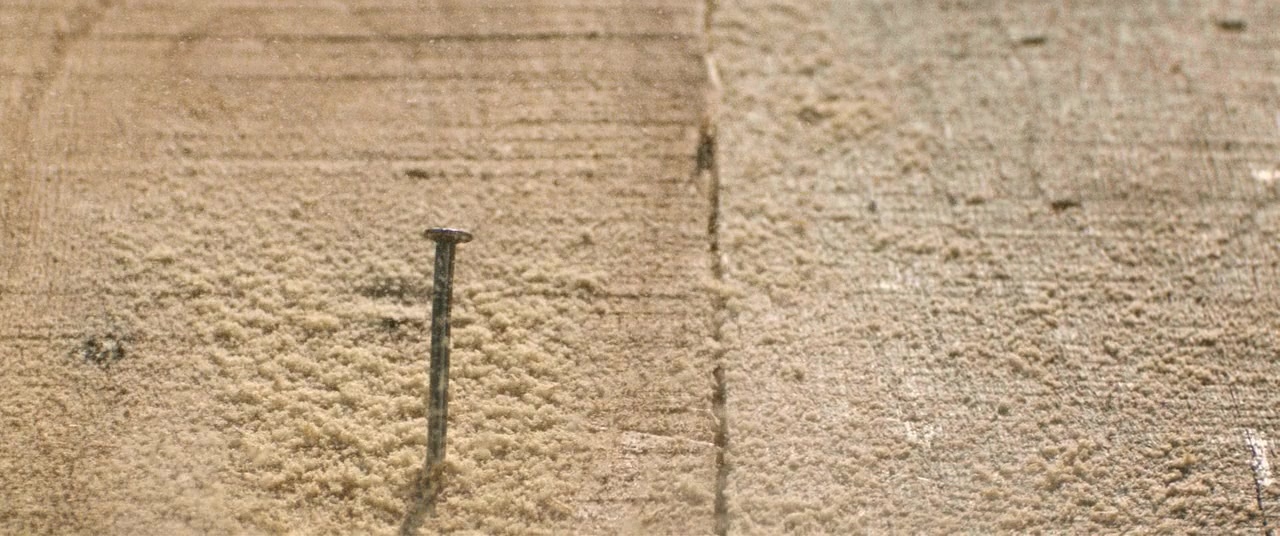 The Kings of Summer (2013), unknown, 2.39:1 — film still