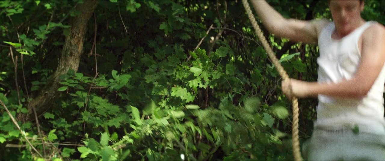 The Kings of Summer (2013), unknown, 2.39:1 — film still