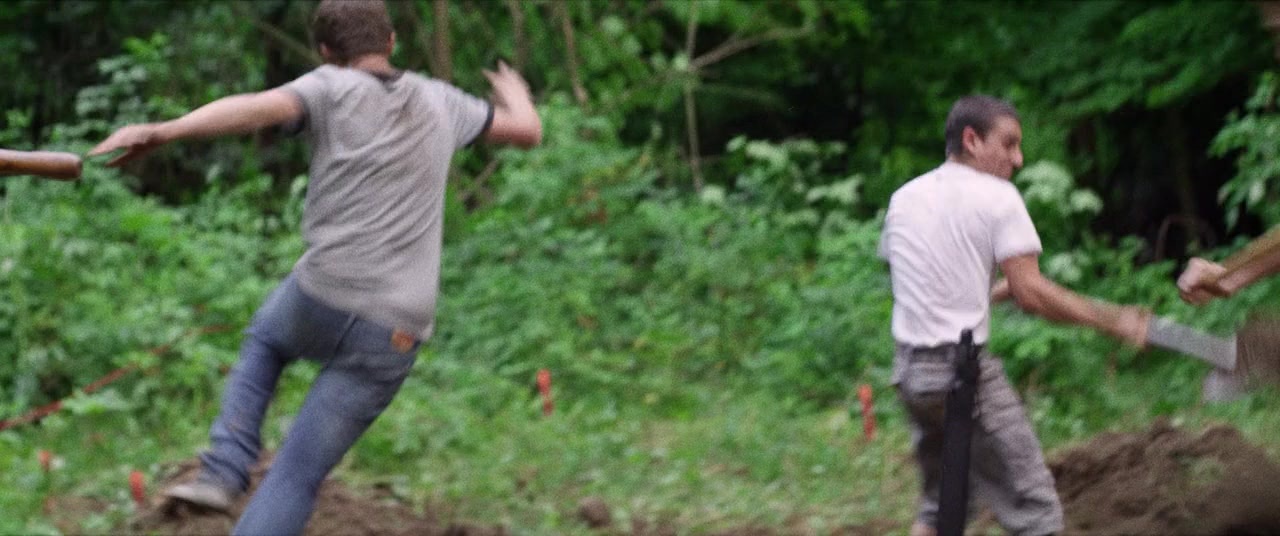 The Kings of Summer (2013), wide, 2.39:1 — film still
