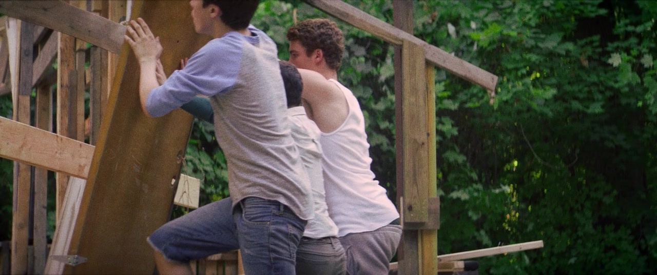 The Kings of Summer (2013), unknown, 2.39:1 — film still