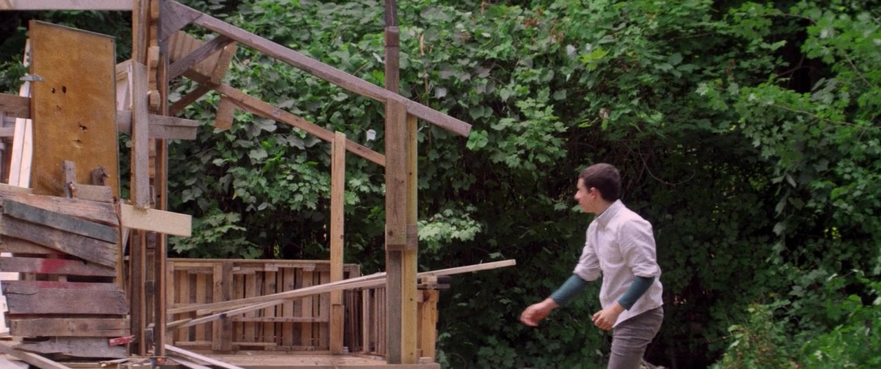 The Kings of Summer (2013), wide, 2.39:1 — film still