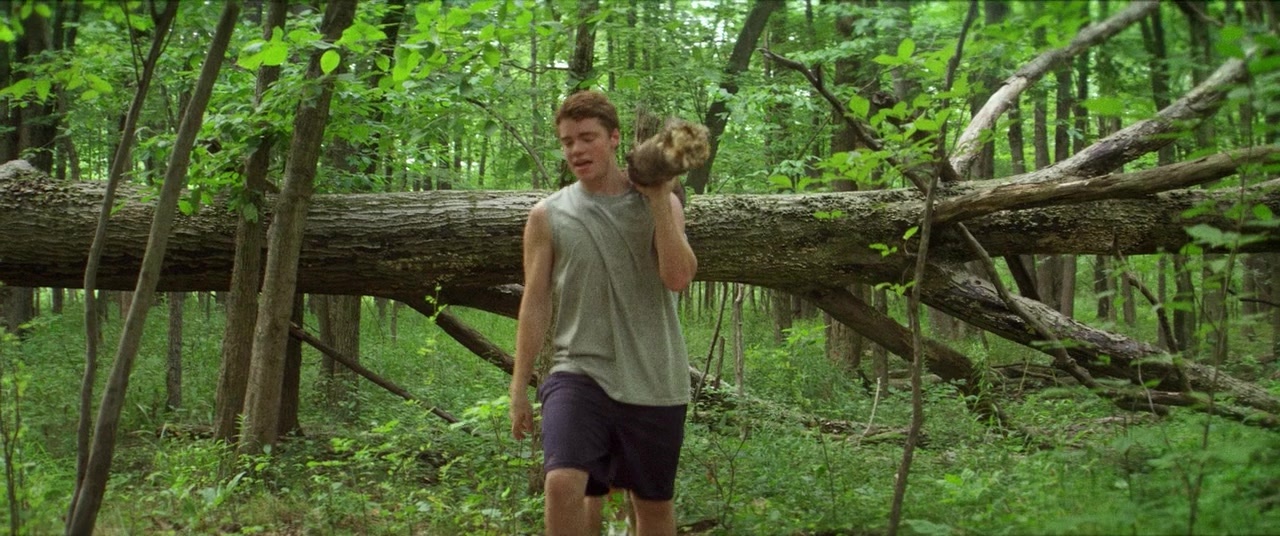 The Kings of Summer (2013), wide, 2.39:1 — film still