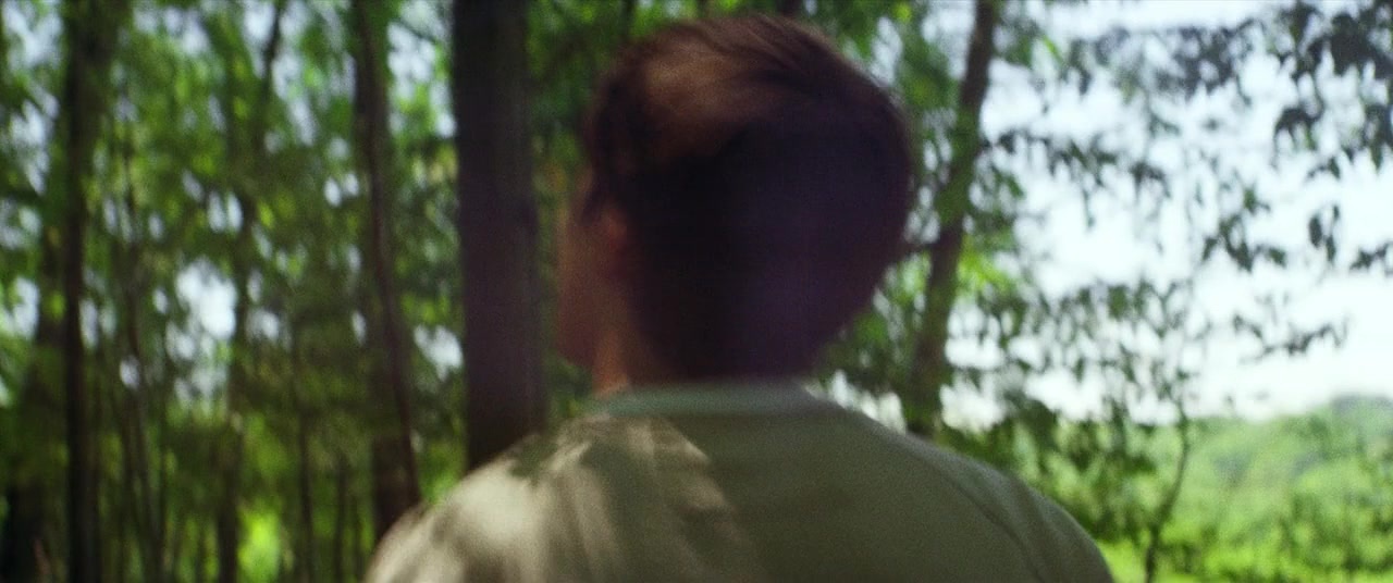 The Kings of Summer (2013), wide, 2.39:1 — film still