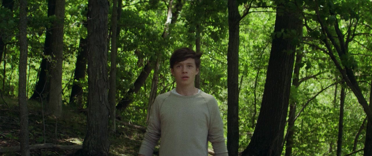 The Kings of Summer (2013), wide, 2.39:1 — film still