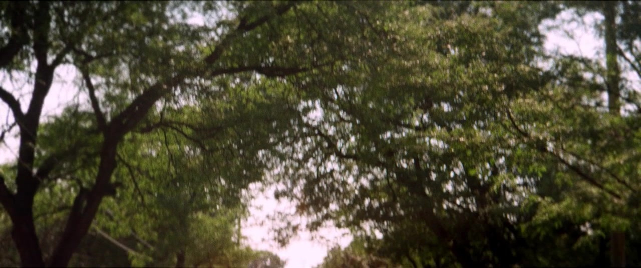 The Kings of Summer (2013), wide, 2.39:1 — film still