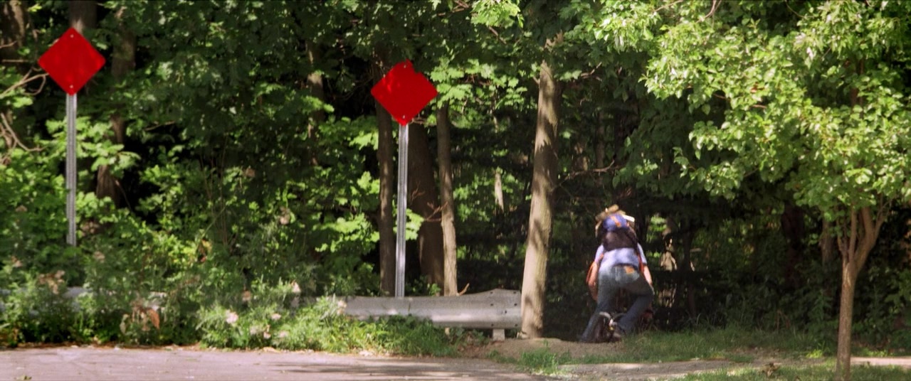The Kings of Summer (2013), wide, 2.39:1 — film still
