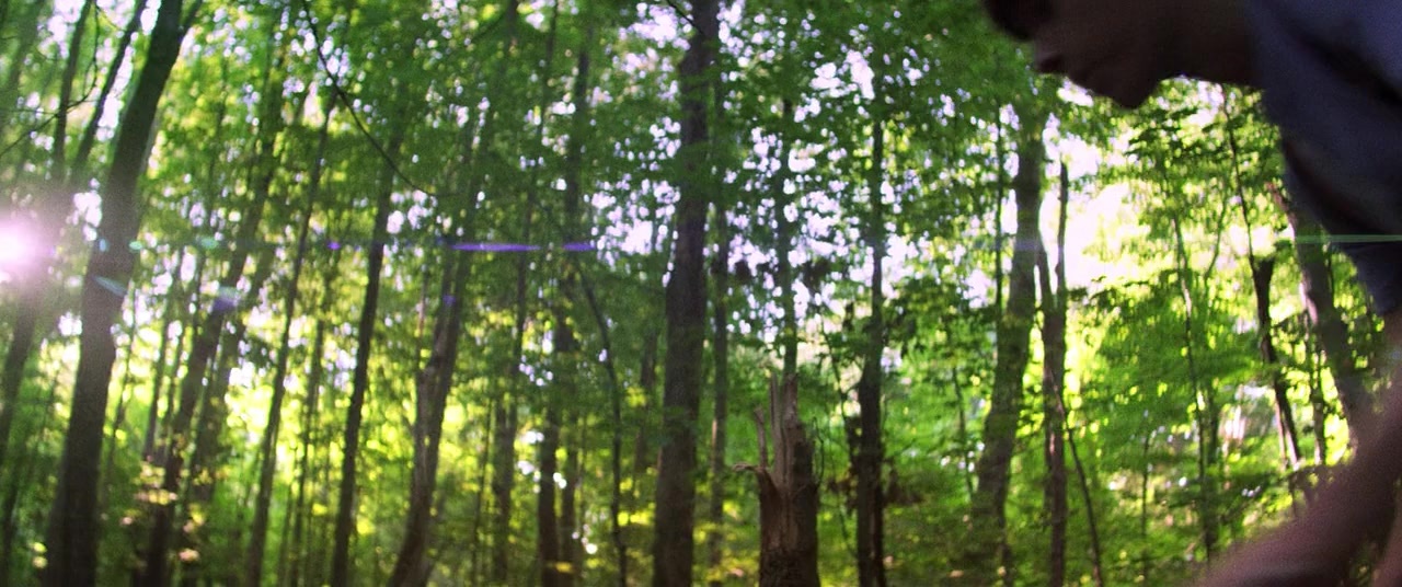 The Kings of Summer (2013), wide, 2.39:1 — film still
