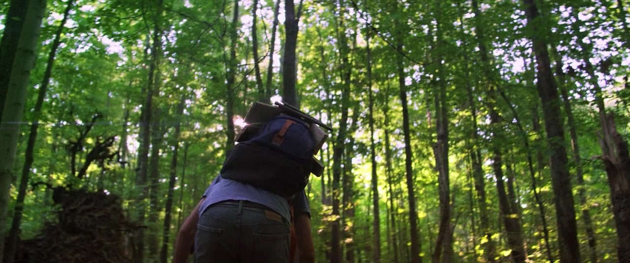 The Kings of Summer (2013), wide, 2.39:1 — film still