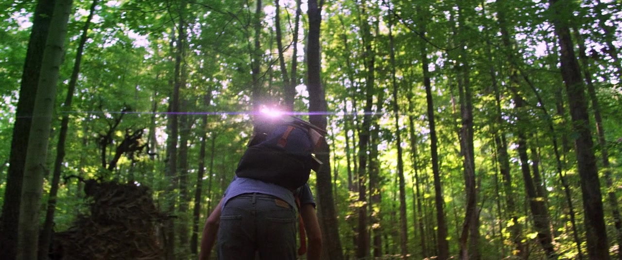 The Kings of Summer (2013), wide, 2.39:1 — film still