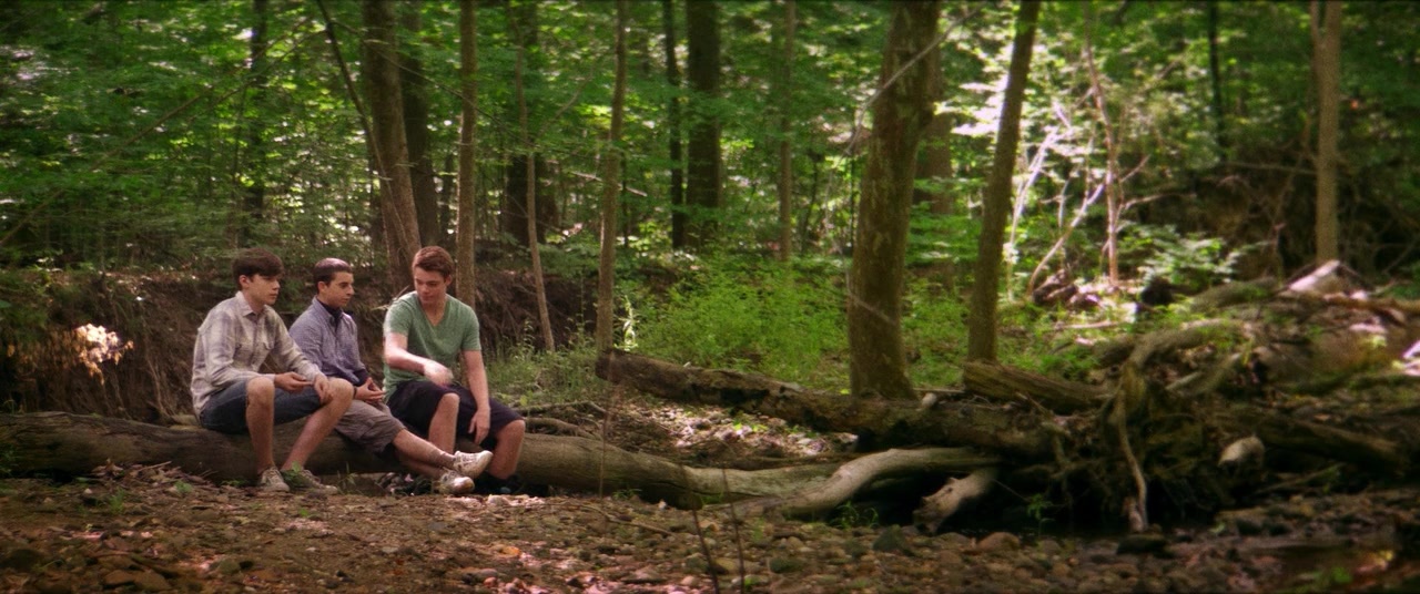The Kings of Summer (2013), wide, 2.39:1 — film still