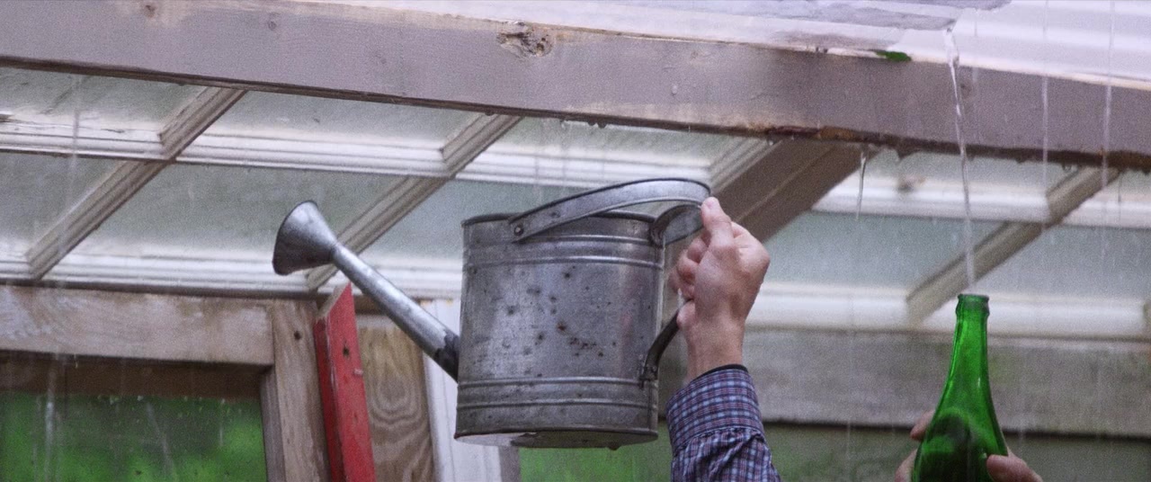 The Kings of Summer (2013), wide, 2.39:1 — film still