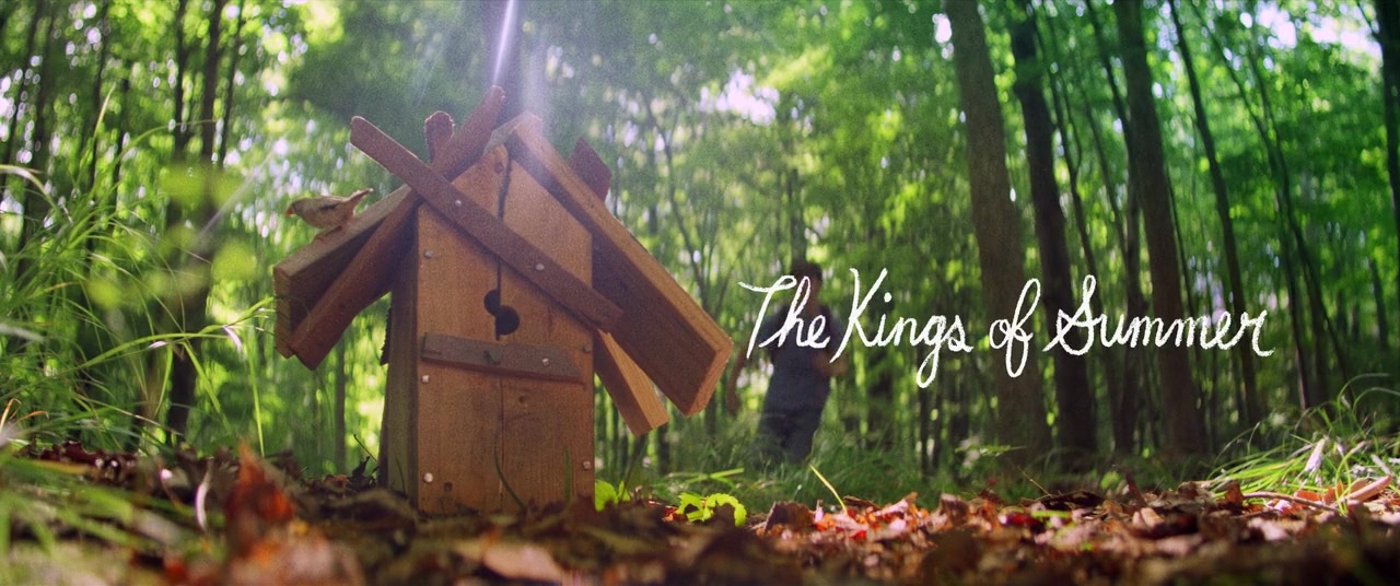 The Kings of Summer (2013), wide, 2.39:1 — film still