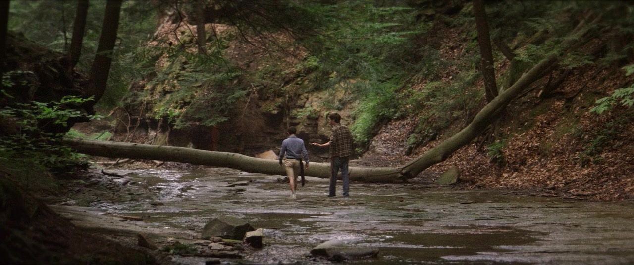 The Kings of Summer (2013), wide, 2.39:1 — film still