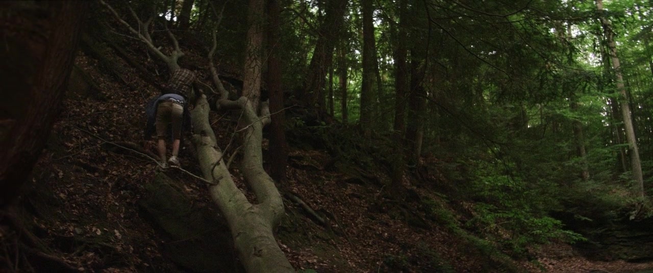 The Kings of Summer (2013), wide, 2.39:1 — film still
