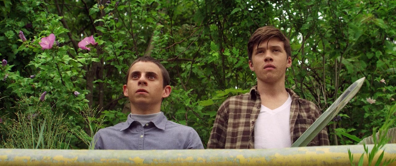 The Kings of Summer (2013), wide, 2.39:1 — film still