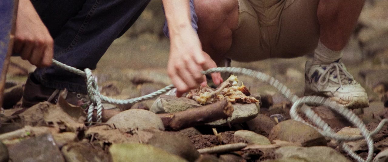 The Kings of Summer (2013), unknown, 2.39:1 — film still