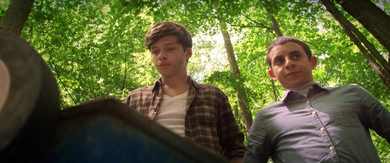 The Kings of Summer (2013), wide, 2.39:1 — film still