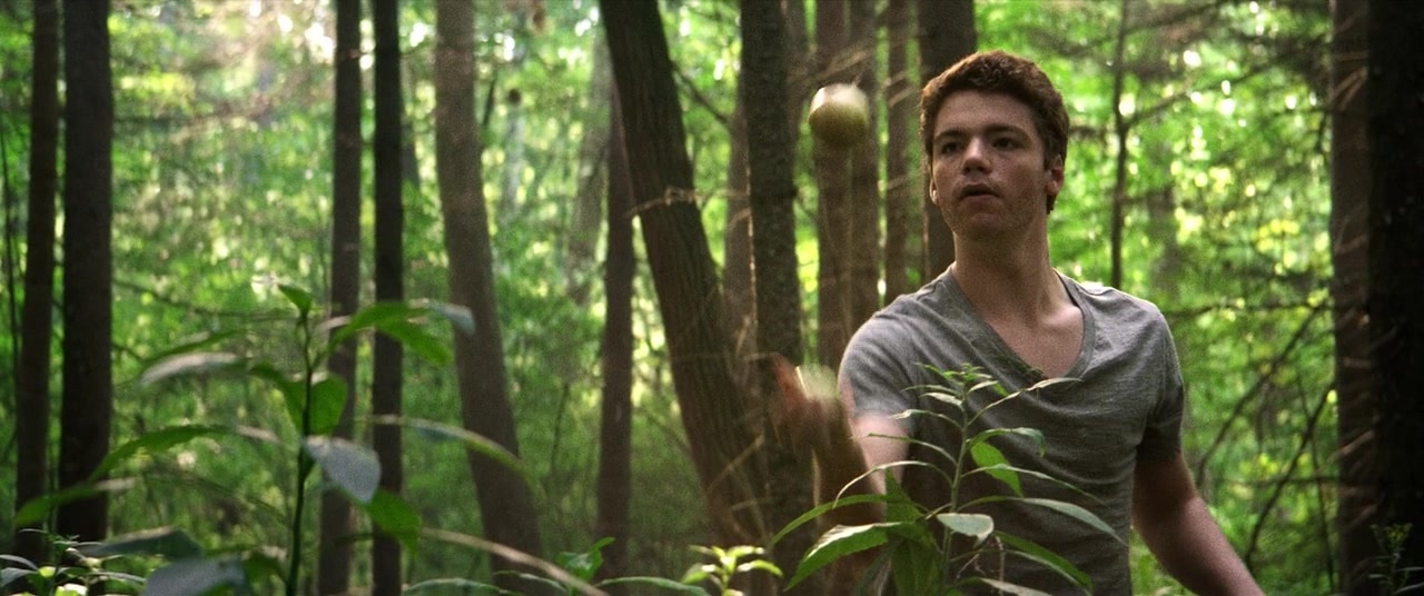 The Kings of Summer (2013), wide, 2.39:1 — film still