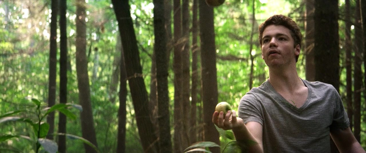 The Kings of Summer (2013), medium, 2.39:1 — film still