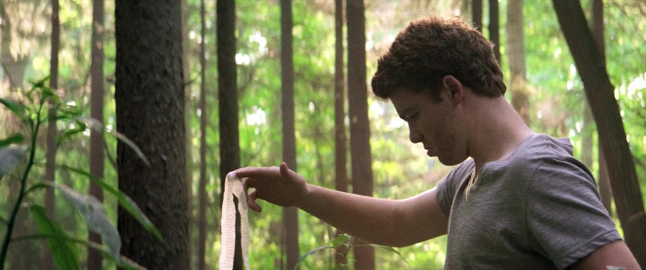 The Kings of Summer (2013), wide, 2.39:1 — film still