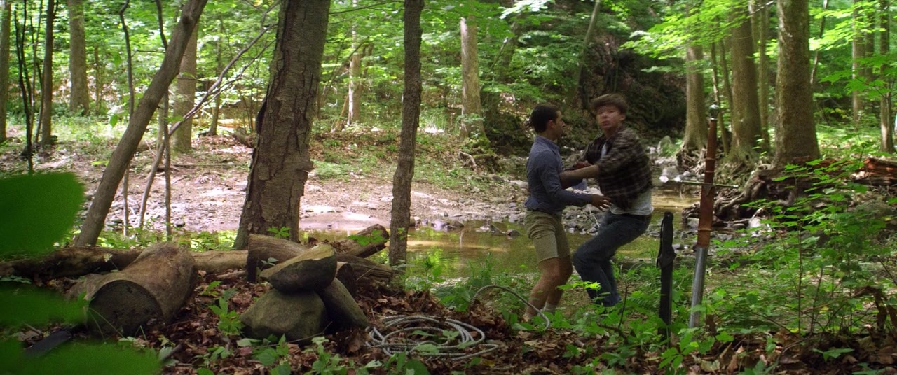 The Kings of Summer (2013), wide, 2.39:1 — film still