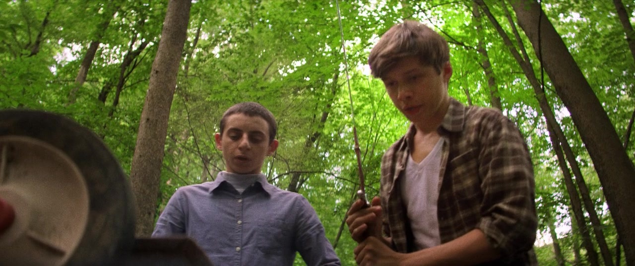 The Kings of Summer (2013), wide, 2.39:1 — film still