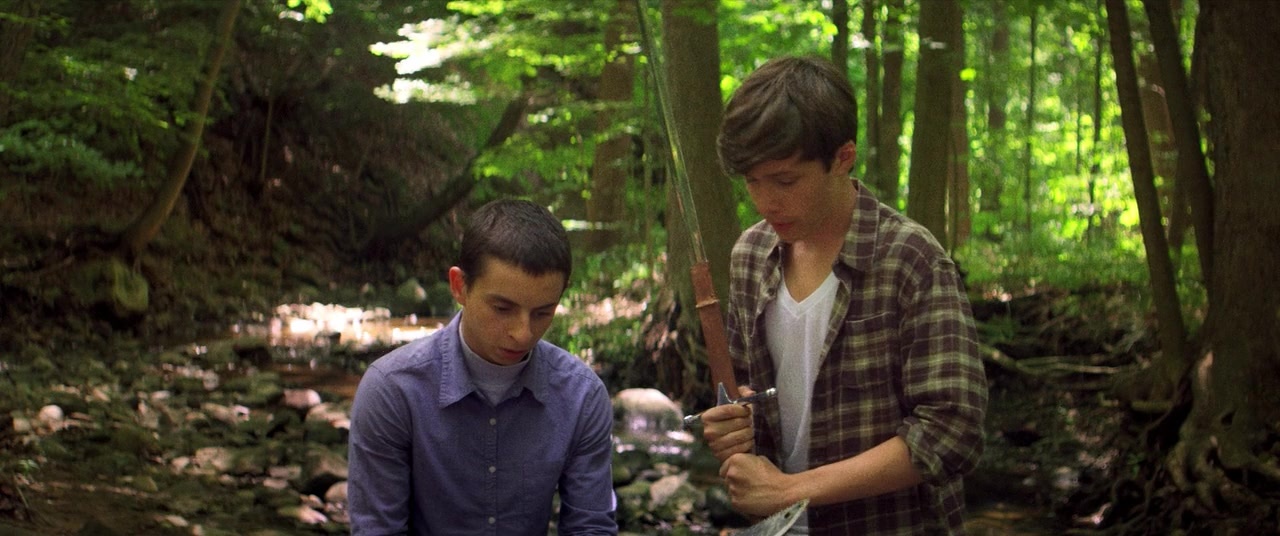 The Kings of Summer (2013), wide, 2.39:1 — film still