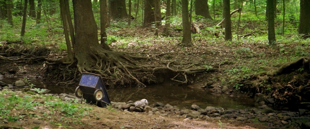 The Kings of Summer (2013), wide, 2.39:1 — film still