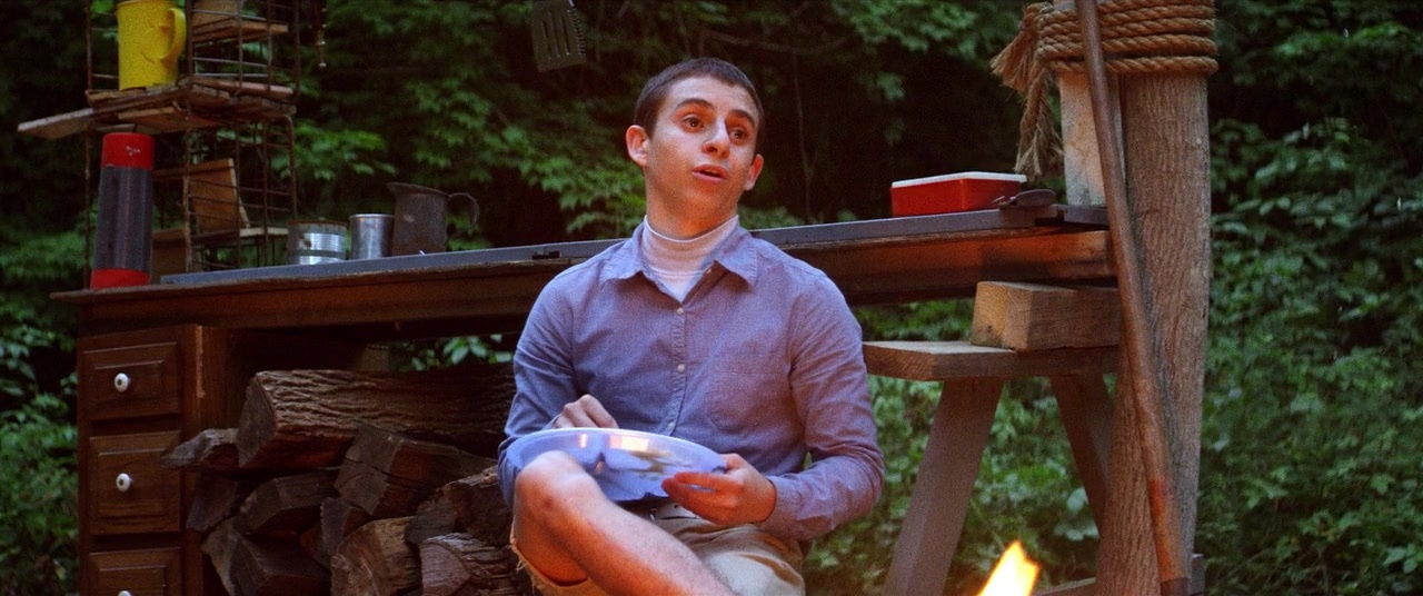 The Kings of Summer (2013), wide, 2.39:1 — film still