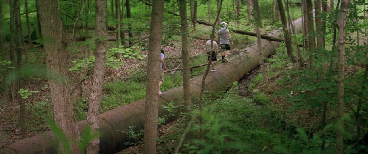 The Kings of Summer (2013), wide, 2.39:1 — film still