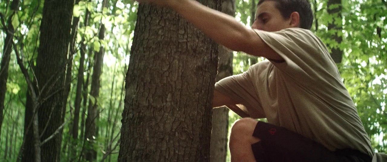 The Kings of Summer (2013), unknown, 2.39:1 — film still