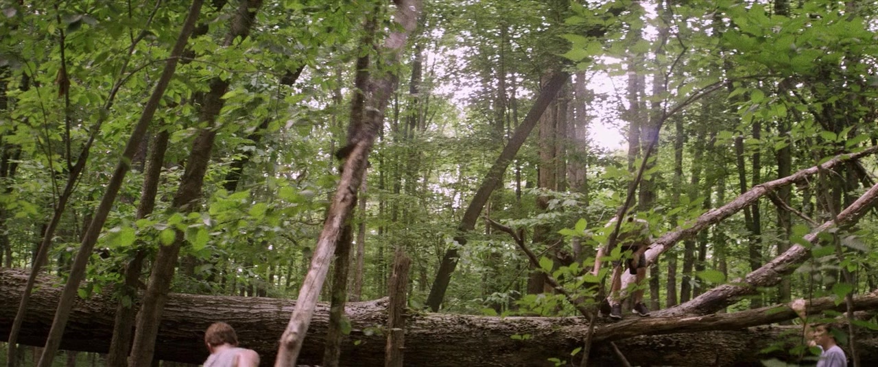The Kings of Summer (2013), unknown, 2.39:1 — film still