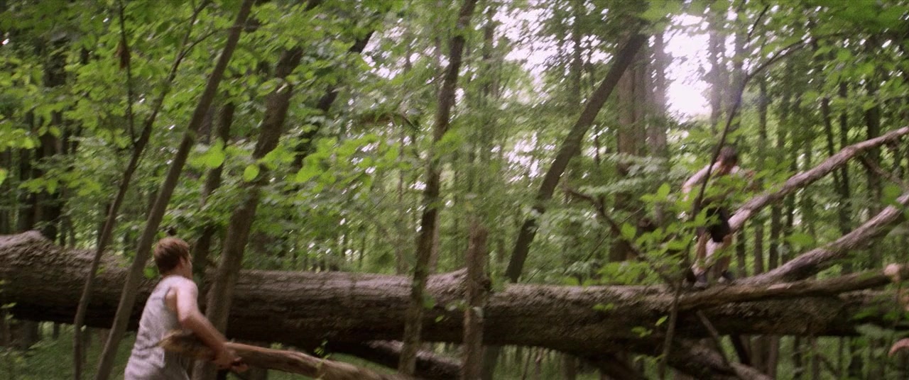 The Kings of Summer (2013), wide, 2.39:1 — film still