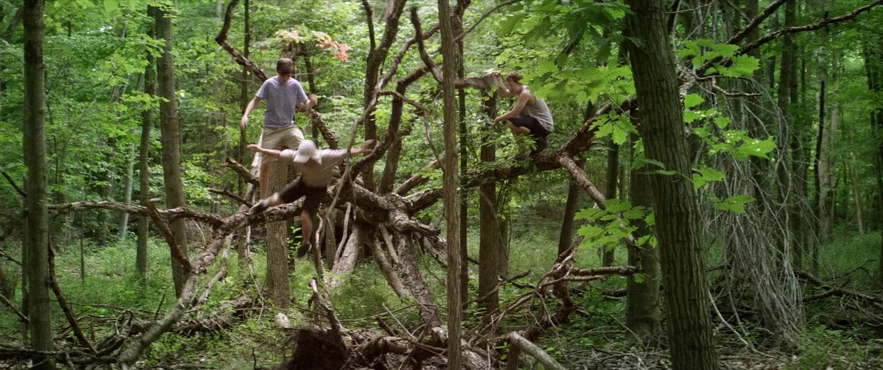 The Kings of Summer (2013), wide, 2.39:1 — film still