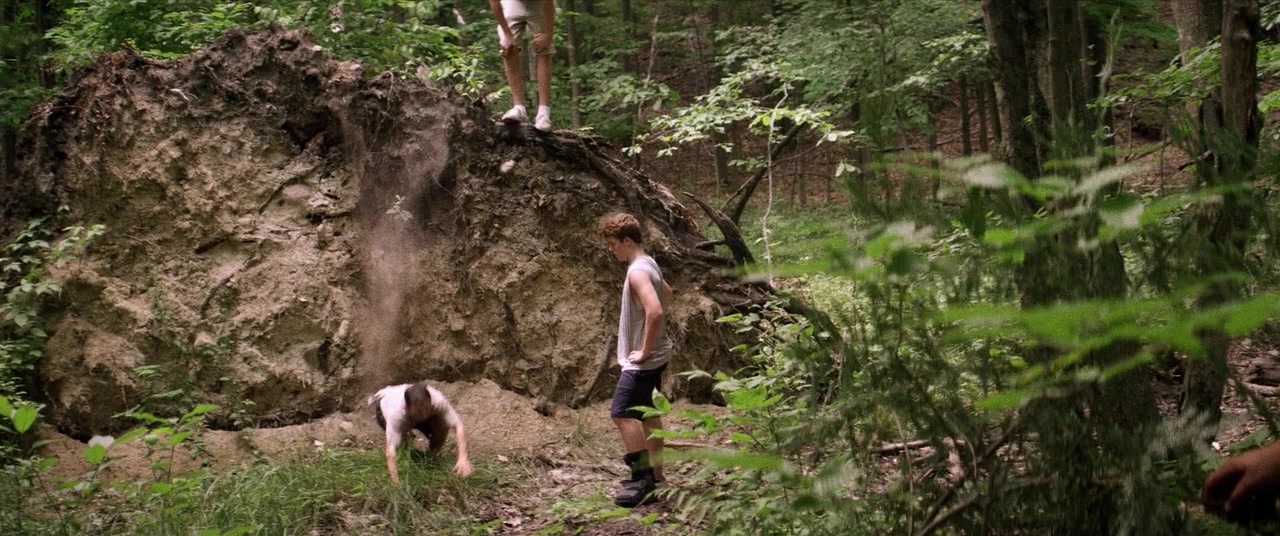 The Kings of Summer (2013), wide, 2.39:1 — film still
