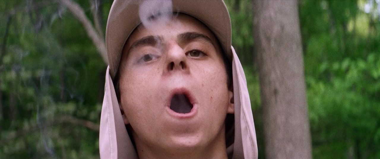 The Kings of Summer (2013), wide, 2.39:1 — film still
