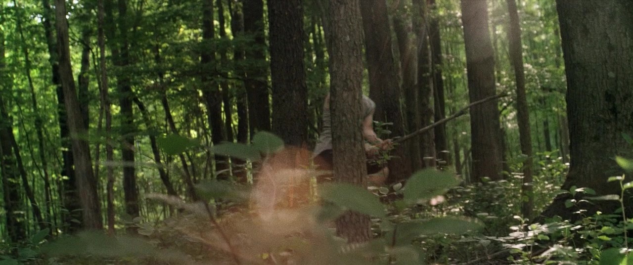 The Kings of Summer (2013), wide, 2.39:1 — film still
