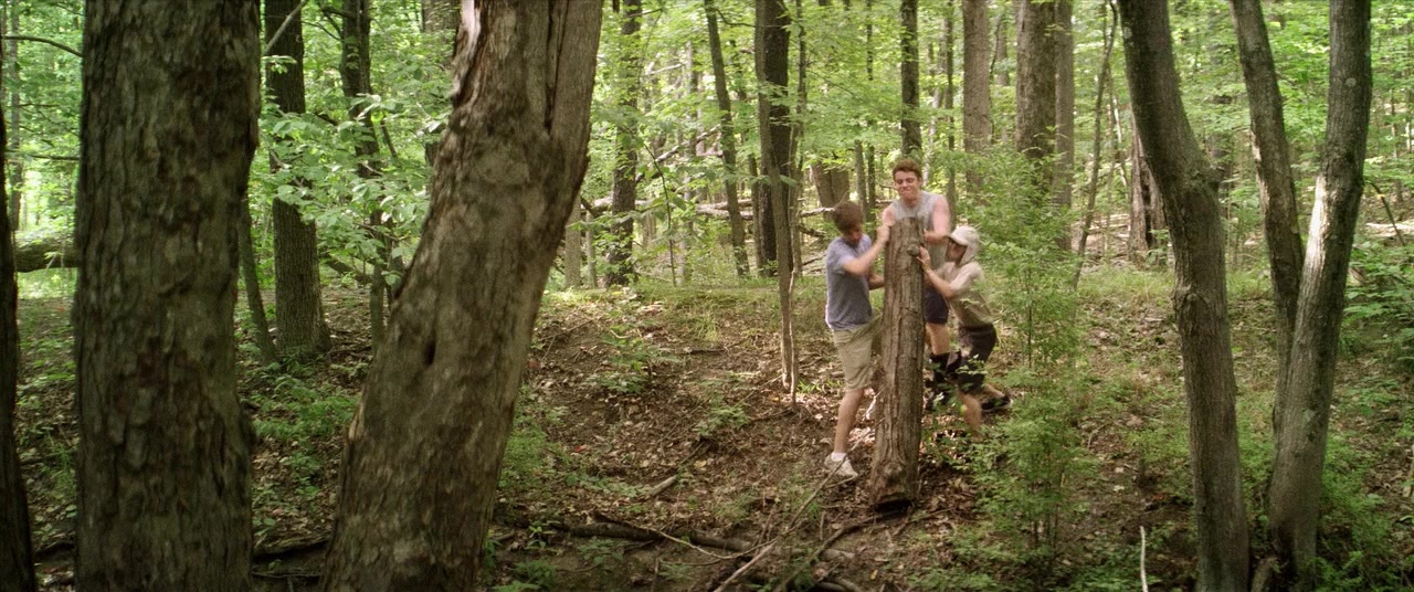The Kings of Summer (2013), wide, 2.39:1 — film still