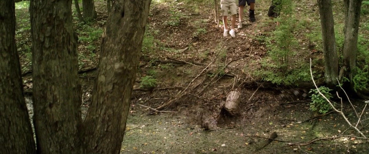 The Kings of Summer (2013), wide, 2.39:1 — film still