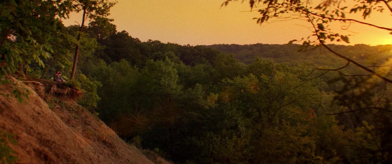 The Kings of Summer (2013), wide, 2.39:1 — film still